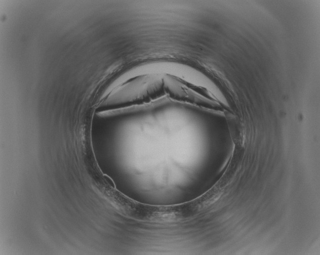 X0000073700260200608311737