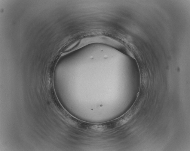 X0000073700261200608311737