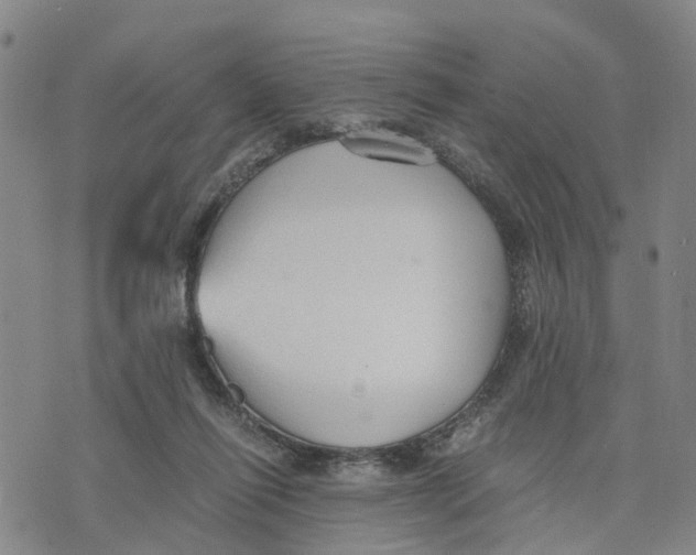 X0000073700262200608311737