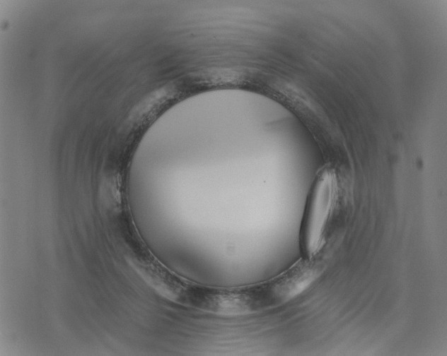 X0000073700264200608311737