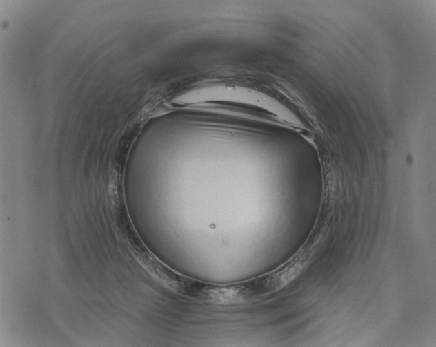 X0000073700265200608311737