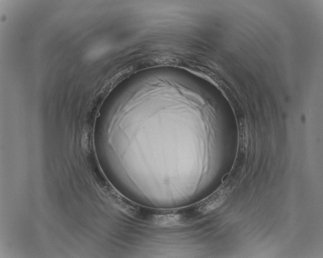 X0000073700266200608311737