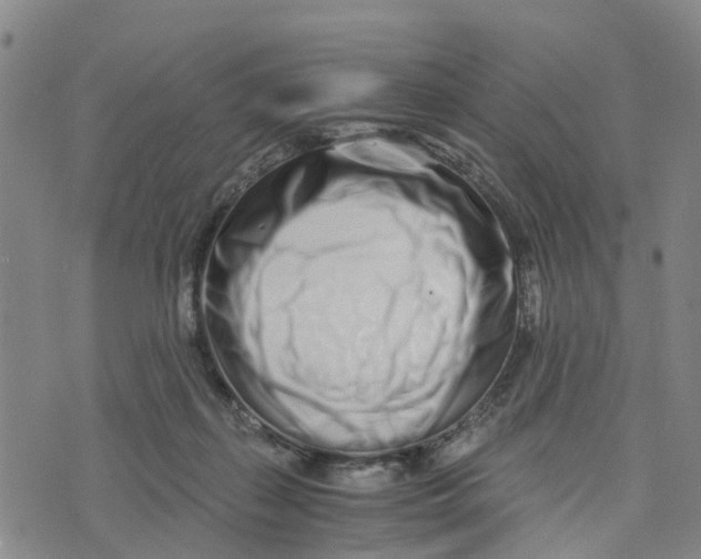 X0000073700267200608311737