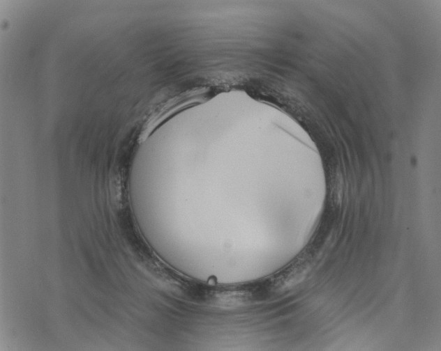 X0000073700268200608311737