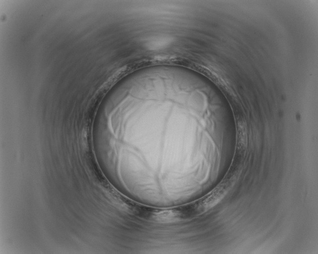 X0000073700269200608311737