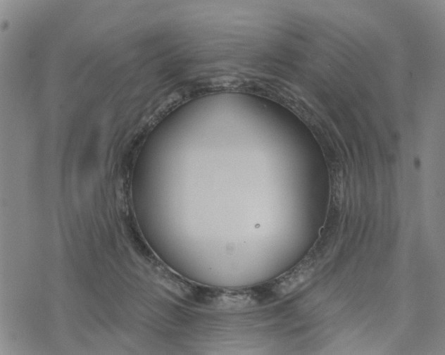 X0000073700270200608311737