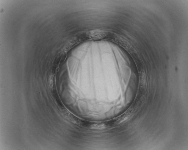 X0000073700271200608311737