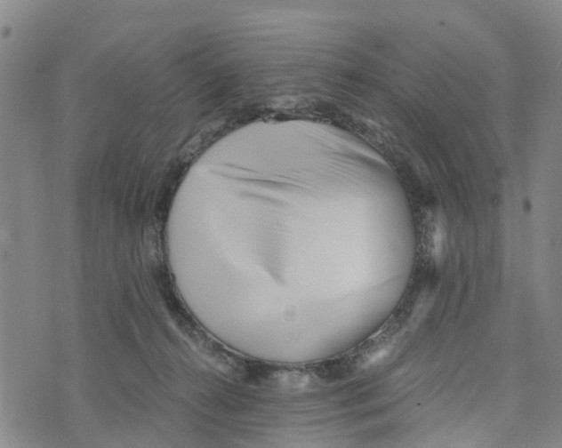 X0000073700272200608311737