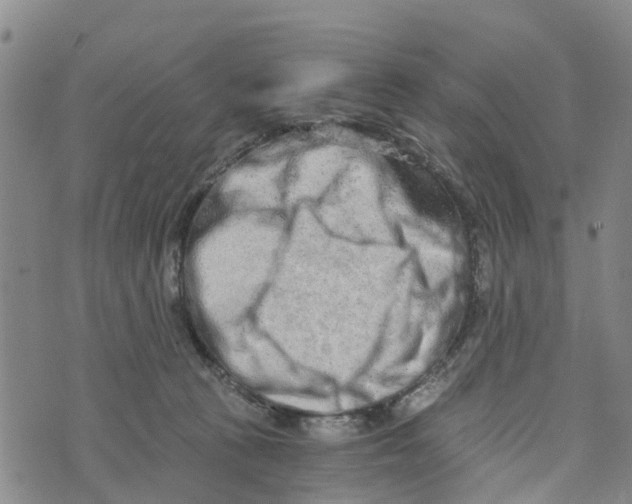 X0000073700273200608311737