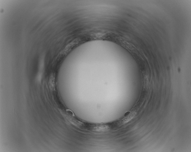 X0000073700274200608311737