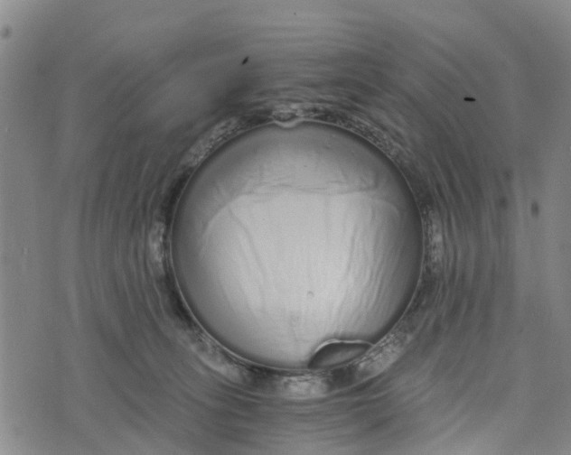 X0000073700275200608311737