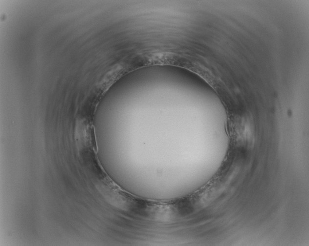 X0000073700276200608311737