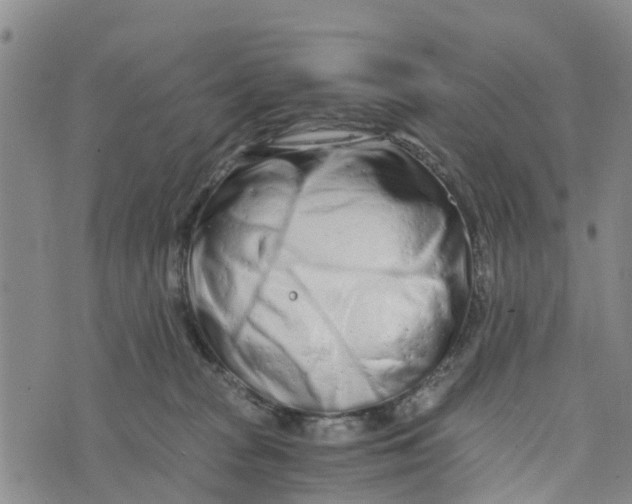 X0000073700277200608311737