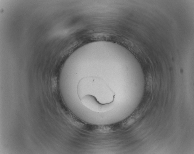 X0000073700278200608311737