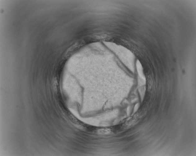 X0000073700279200608311737