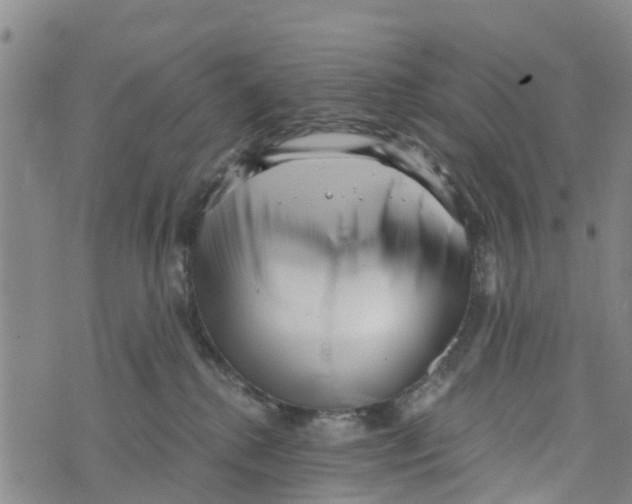 X0000073700280200608311737