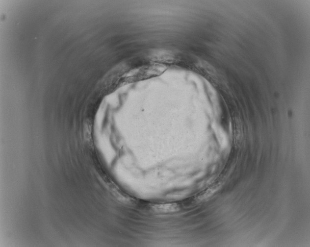 X0000073700281200608311737