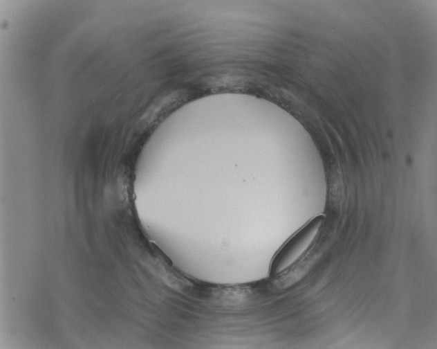 X0000073700282200608311737