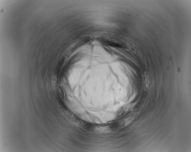 X0000073700283200608311737