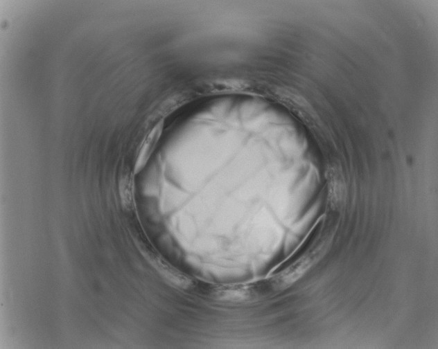 X0000073700285200608311737