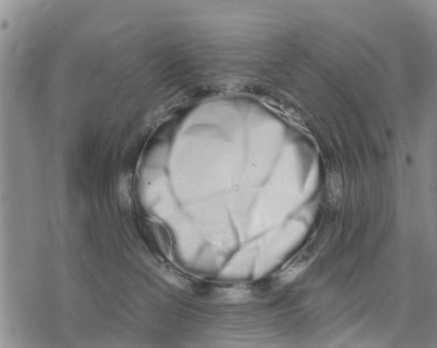 X0000073700286200608311737