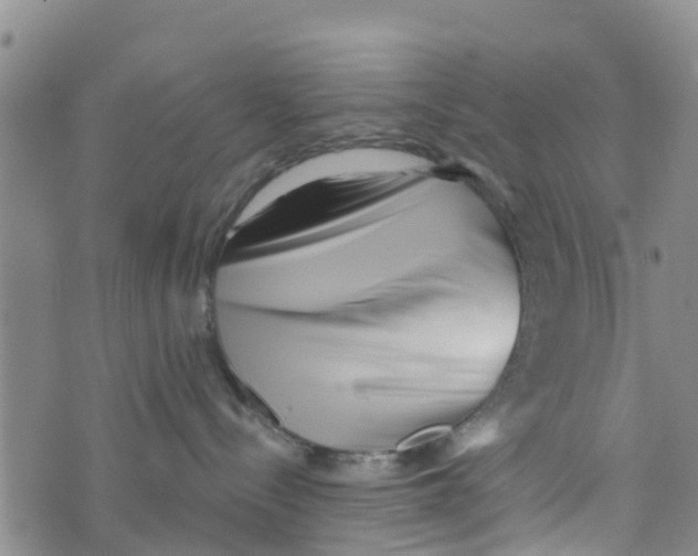 X0000073700288200608311737