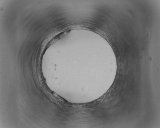 X0000073700289200608311737