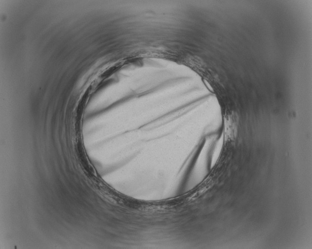 X0000073700291200608311736