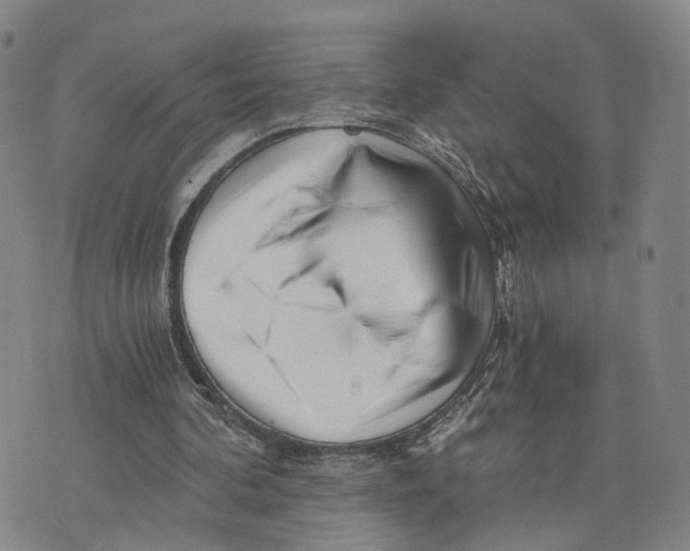 X0000073700292200608311736