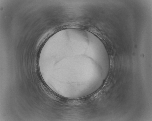 X0000073700293200608311736