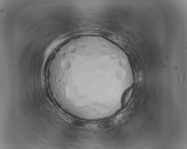 X0000073700294200608311736