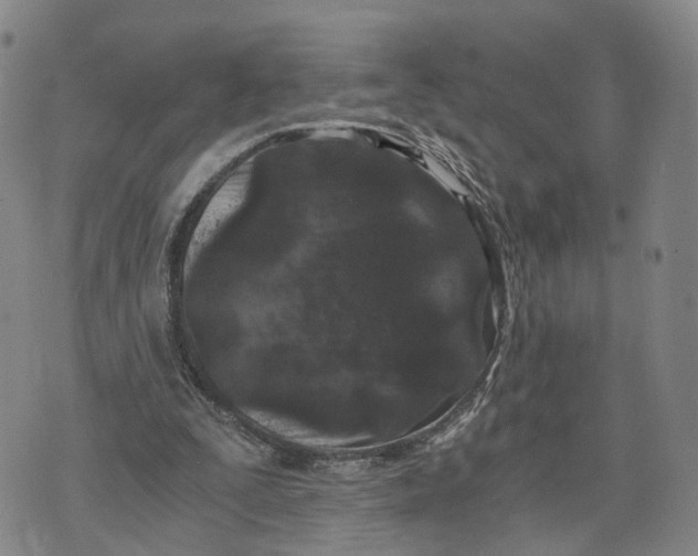 X0000073700295200608311736