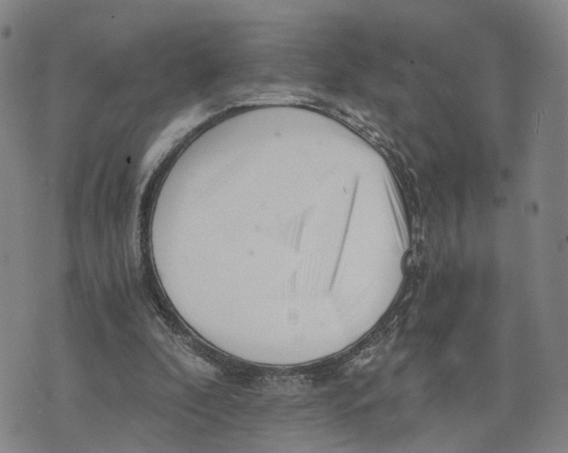 X0000073700296200608311736