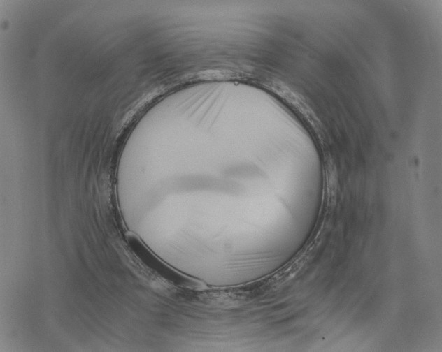 X0000073700297200608311736