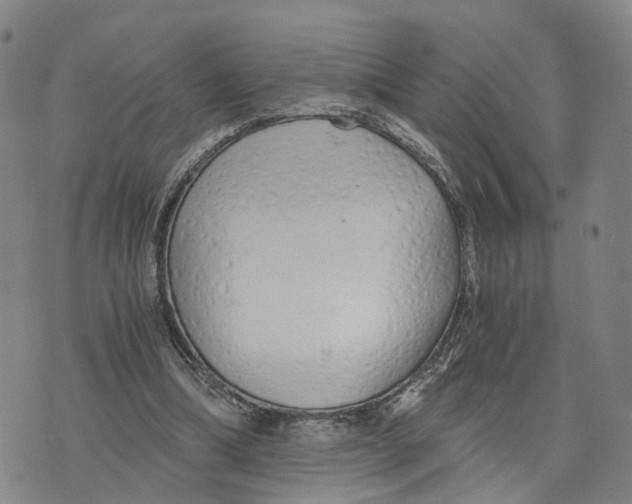 X0000073700298200608311736