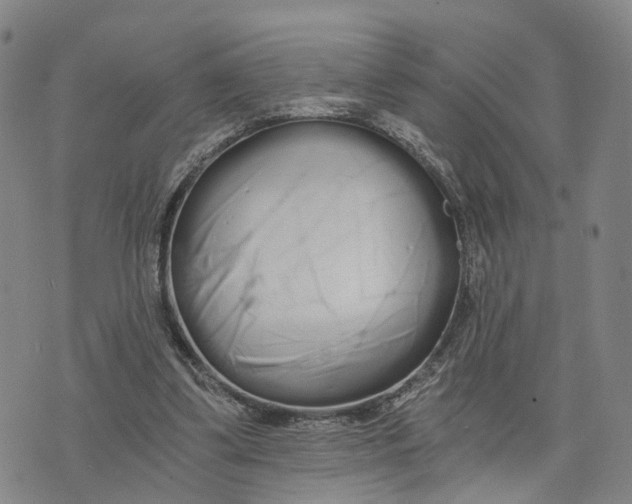 X0000073700299200608311736