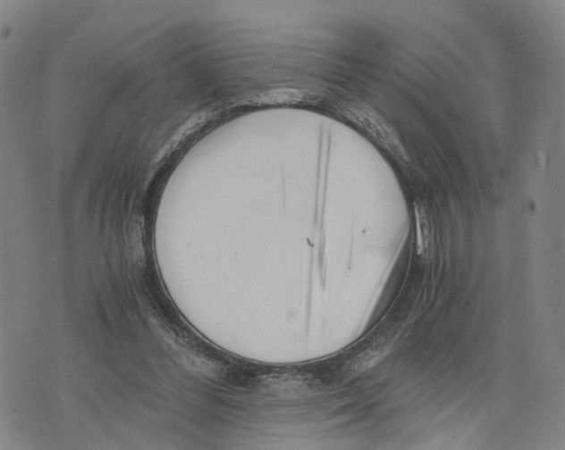 X0000073700300200608311736