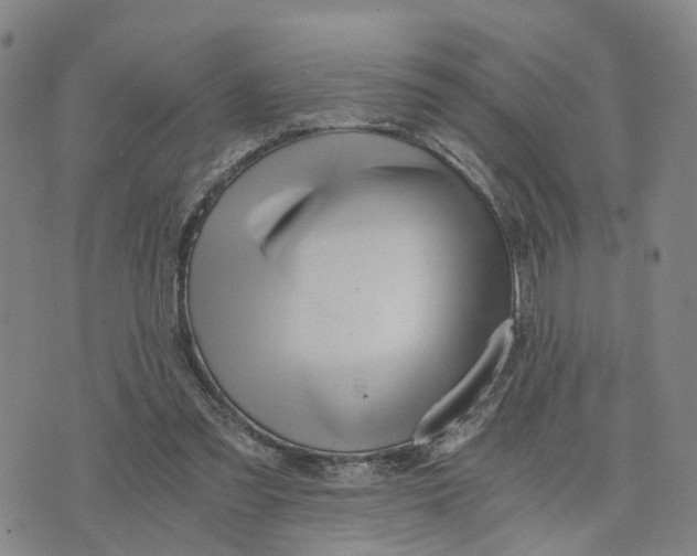 X0000073700301200608311736