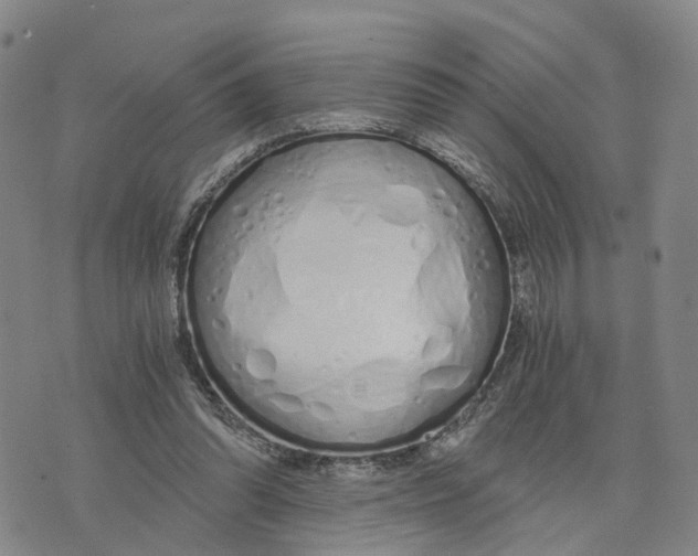 X0000073700302200608311736