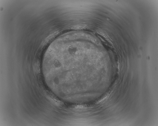 X0000073700303200608311736