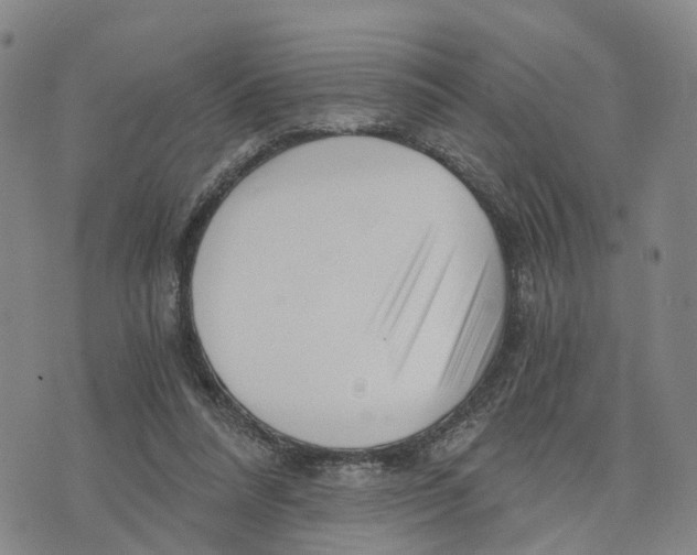 X0000073700304200608311736