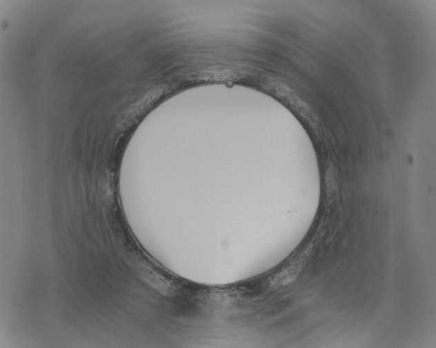 X0000073700305200608311736