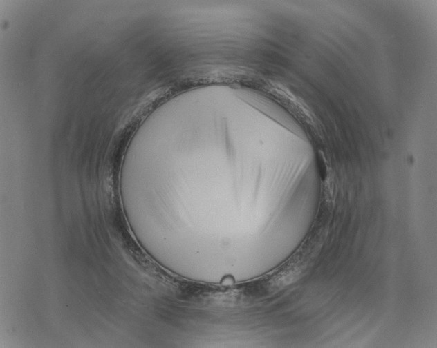 X0000073700306200608311736