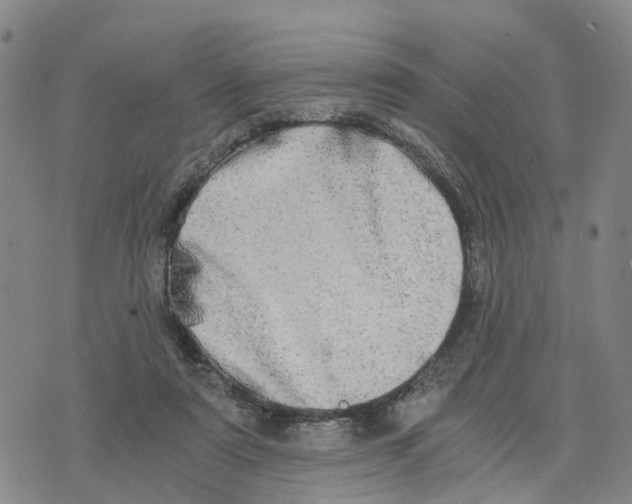 X0000073700307200608311736