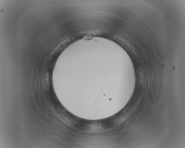 X0000073700308200608311736