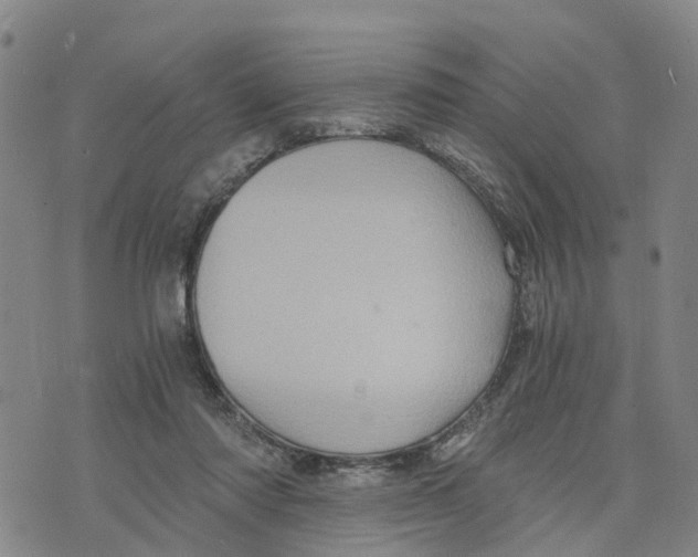 X0000073700310200608311736