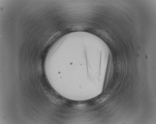 X0000073700312200608311736