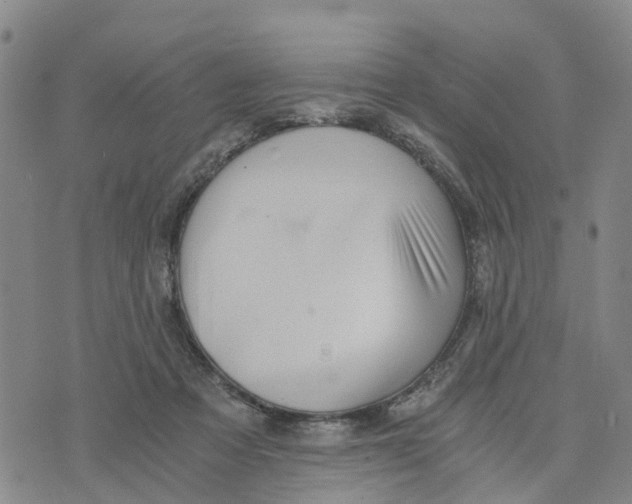 X0000073700313200608311736