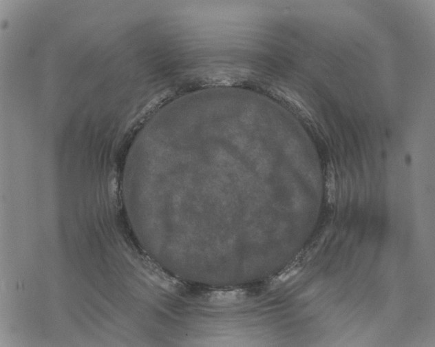 X0000073700314200608311736