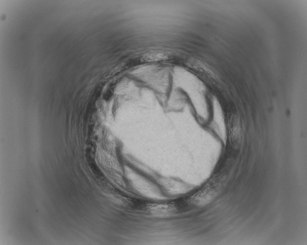 X0000073700315200608311736